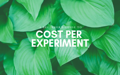 Cost Per Experiment – Measuring your Marketing ROI